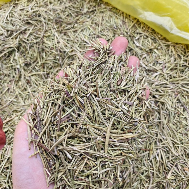 1kg Lá hương thảo Rosemary (Loại 1) Sấy Khô