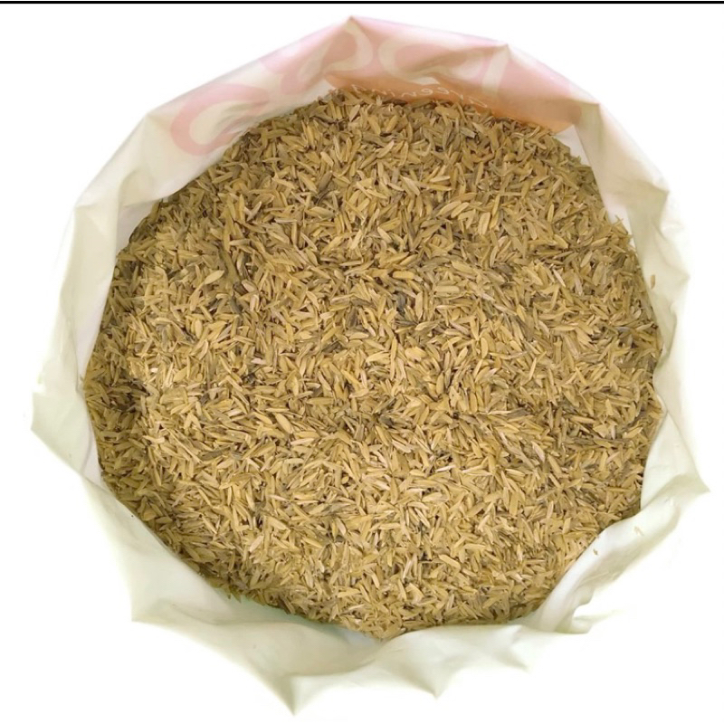 Vỏ trấu , trấu tươi 500g