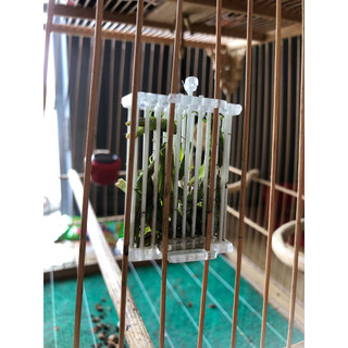 Rọ đựng cào cào cho chim, rọ đựng dế chim chất liệu cáp bền đẹp