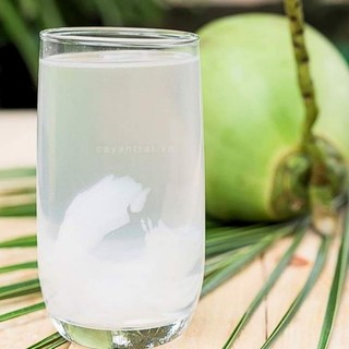 Cây Giống Dừa ruột Hồng