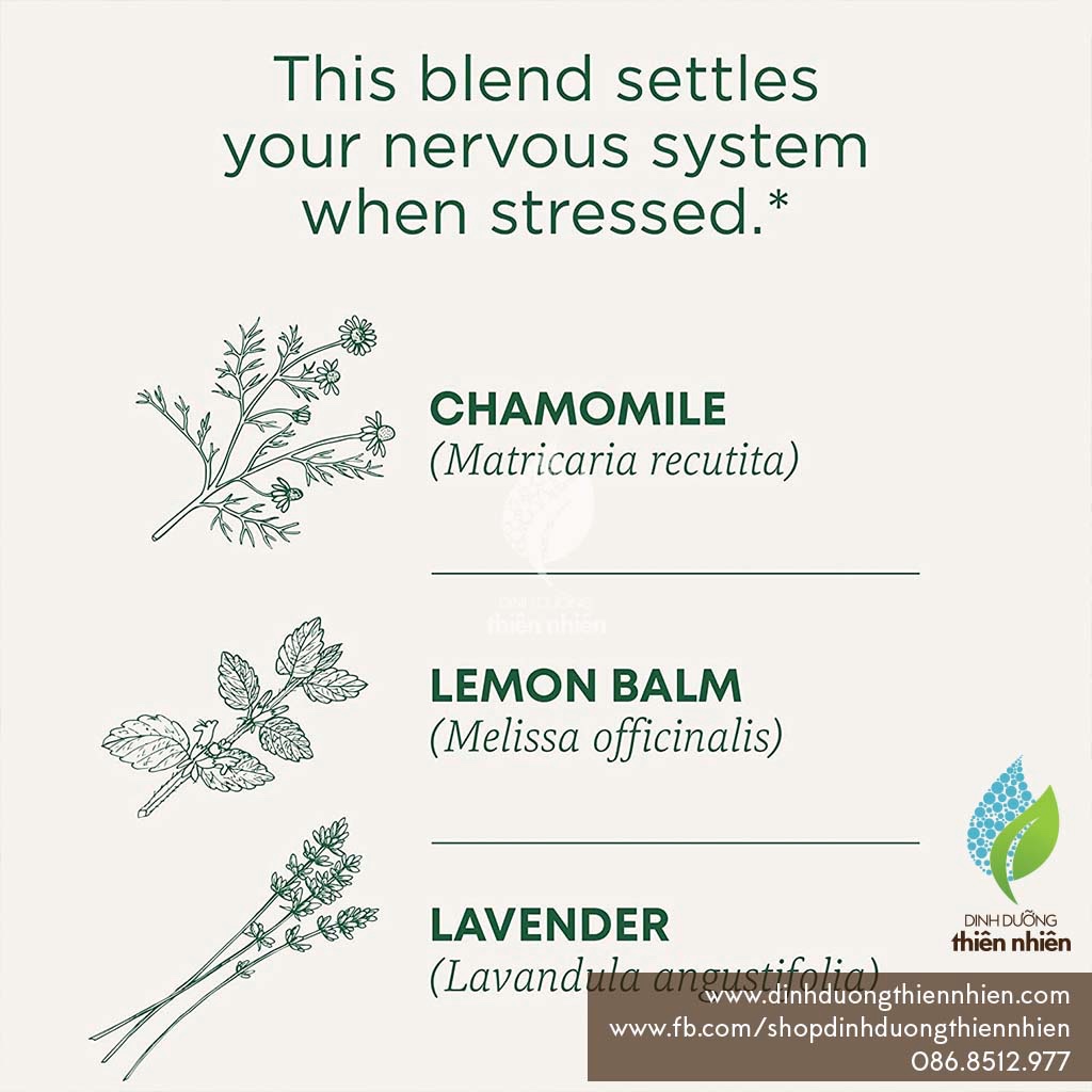 Trà Hữu Cơ Hoa Oải Hương & Hoa Cúc Traditional Medicinals Organic Chamomile & Lavender