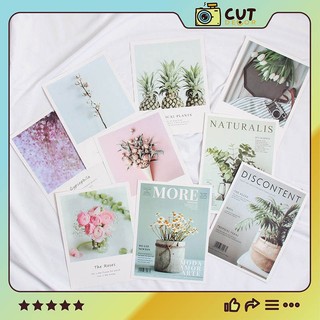 Bìa tạp chí mini chụp ảnh 15x20cm - cụt decor