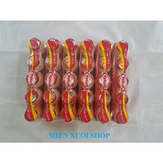  06 Lốc  30 chai  sữa chua uống lên men yakult 65ml 