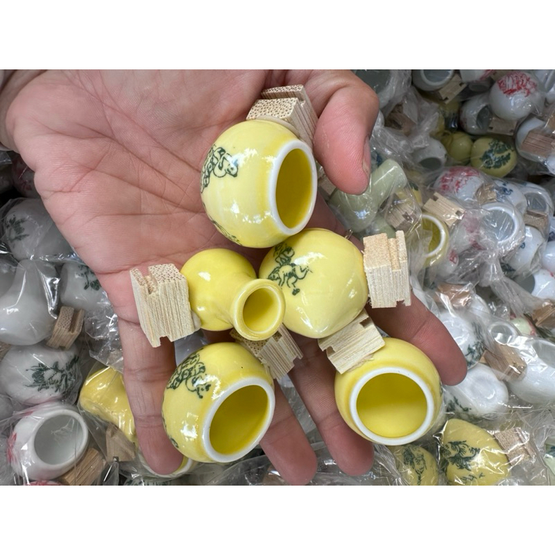 Cóng sứ chim vành khuyên, hút mật, ốc mít