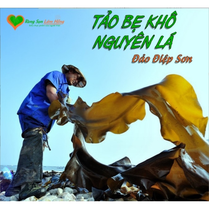 Tảo Bẹ Khô Nguyên Lá Điệp Sơn