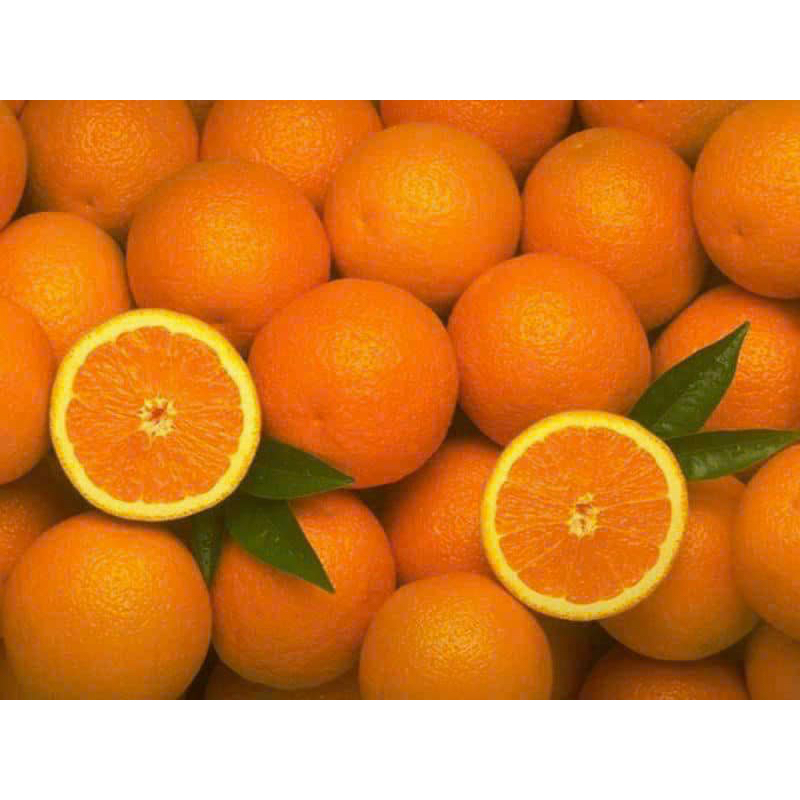 🍊 CAM ÚC SẤY DẺO  TỪ ĐƠN 50K,  Hàng Ngon Nhà Làm