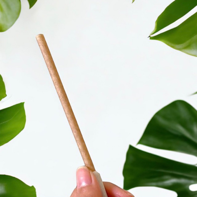 Bán lẻ - ỐNG HÚT BÃ MÍA