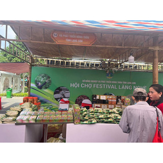 Trà Diếp Cá OCOP