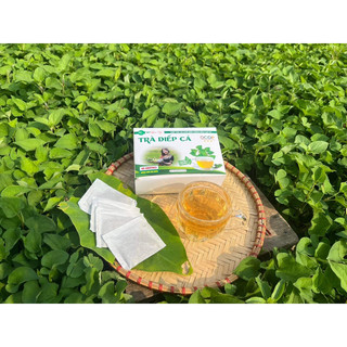 Trà Diếp Cá OCOP