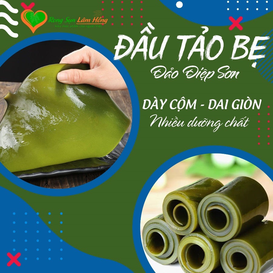 Đầu  Tảo Bẹ Khô Điệp Sơn