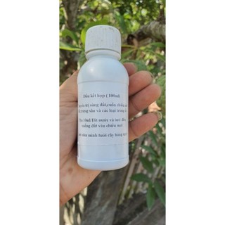 Dầu Trị Cuốn Chiếu,Sùng Đất
