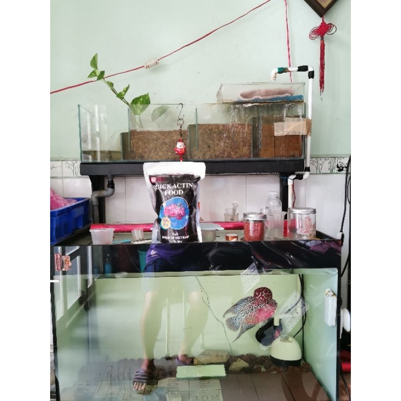 Cám la hán cao cấp CS3, đạm 56% net 200gram