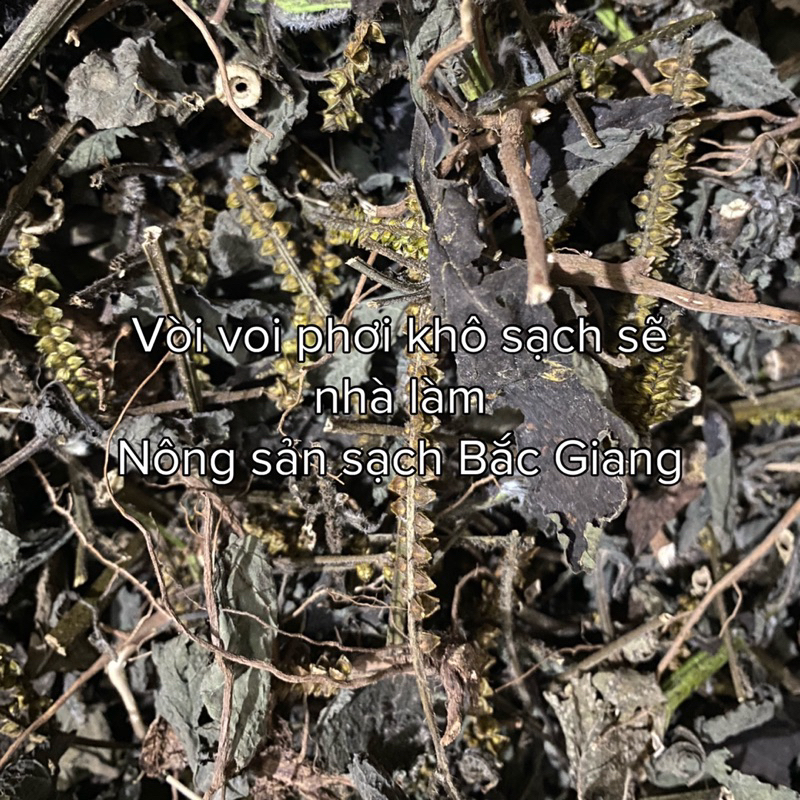 500g Vòi voi phơi khô,sạch sẽ,mọc tự nhiên