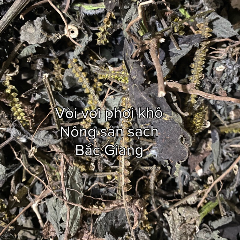 500g Vòi voi phơi khô,sạch sẽ,mọc tự nhiên