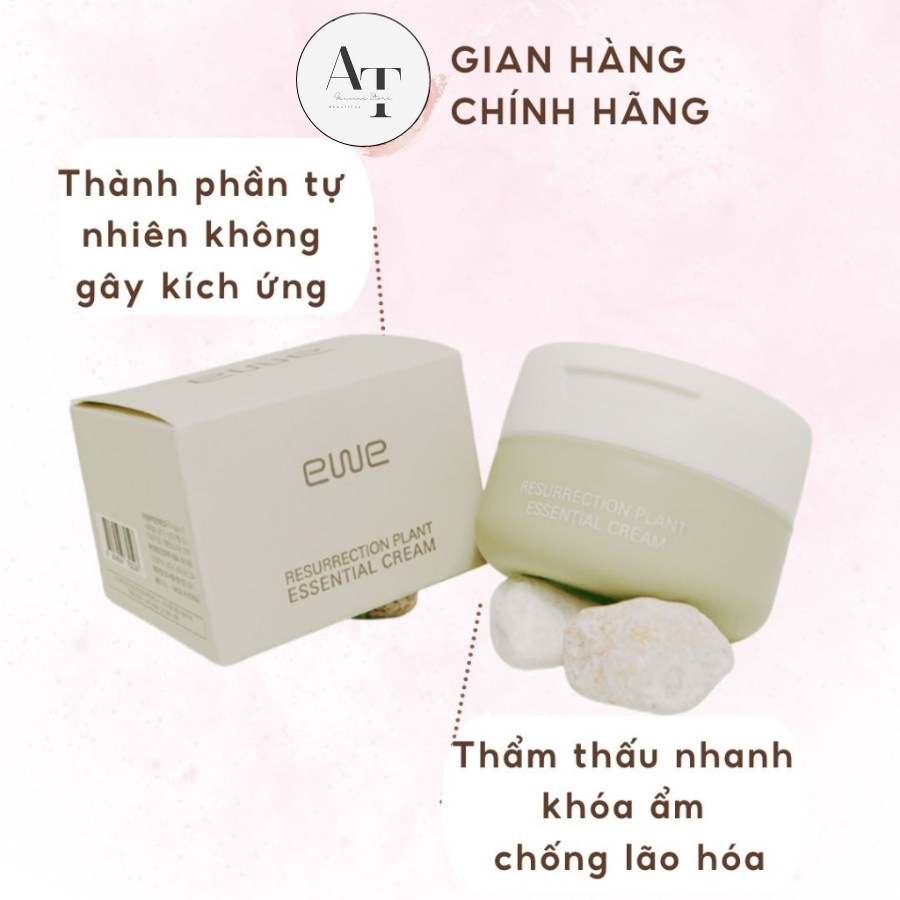 Kem dưỡng da EWE RESURRECTION PLANT ESSENTIAL CREAM YGEC50 50g dưỡng trắng, cấp ẩm giúp da luôn sáng mịn