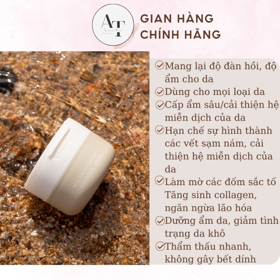 Kem dưỡng da EWE RESURRECTION PLANT ESSENTIAL CREAM YGEC50 50g dưỡng trắng, cấp ẩm giúp da luôn sáng mịn