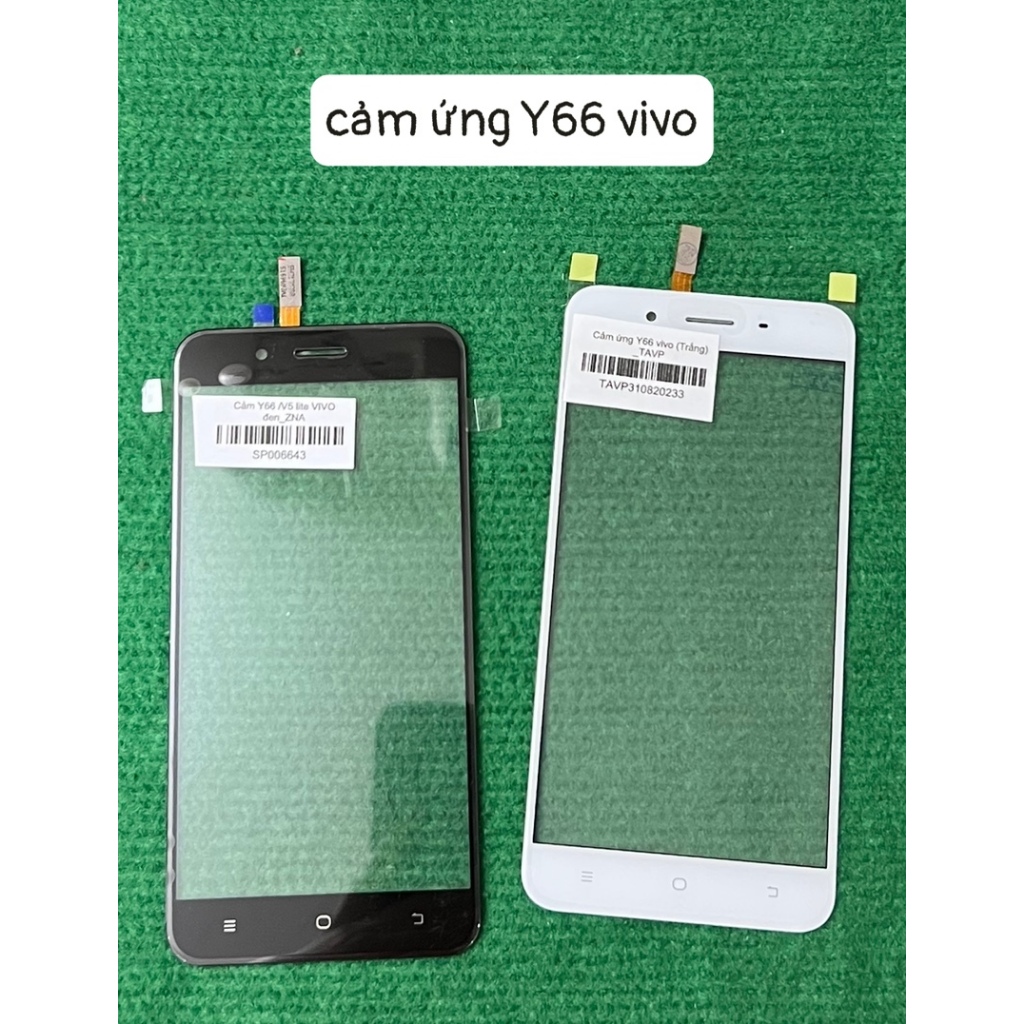 Cảm ứng Y66 Vivo