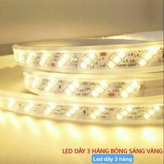 LED DÂY 3 HÀNG SÁNG VÀNG HẮT TRẦN, QUẤN CÂY SIÊU SÁNG, LOẠI 1, CHỐNG NƯỚC