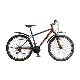 Xe đạp thể thao Asama MTB 2604