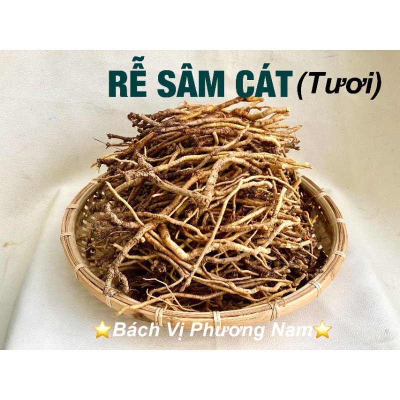 1Kg Rễ Sâm Cát - Bách Vị Phương Nam