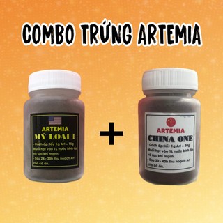 Trứng artemia ấp nở - thức ăn tốt nhất cho cá con mới đẻ, cá bột,.....