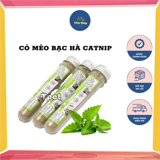Cỏ mèo bạc hà catnip cỏ thơm cho mèo | ống 10gr | tpet shop
