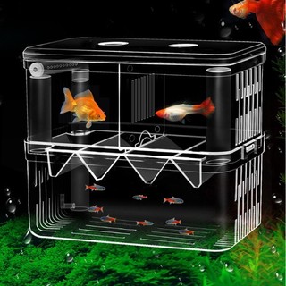Lồng đẻ mica cho cá guppy, cá mún, cá cảnh nhỏ....