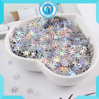 Kim Tuyến Ngũ Sắc Hình Bông Tuyết Trang Trí Resin, Kim Tuyến Nail Art - Trường Thịnh Sài Gòn