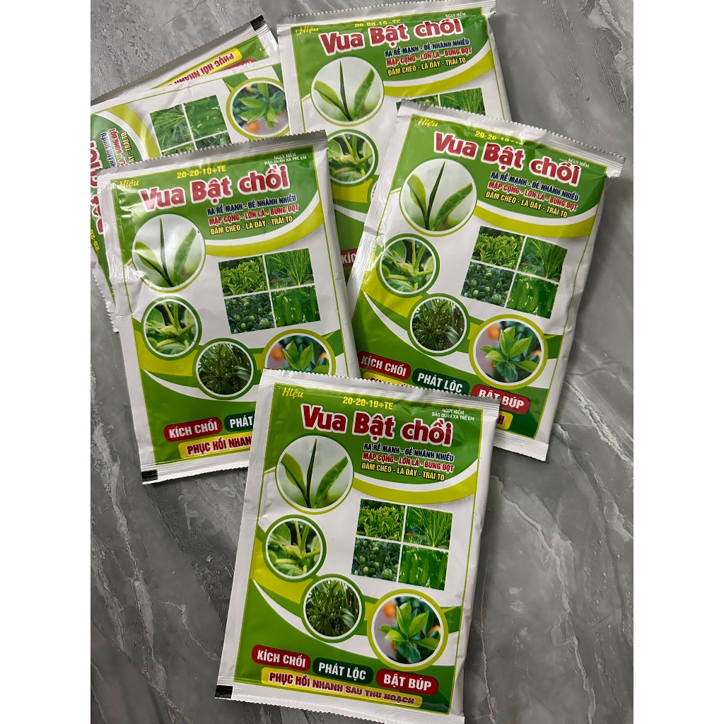 GÓI 50GR VUA BẬT CHỒI MẬP CỌNG,LỚN LÁ,BUNG ĐỌT