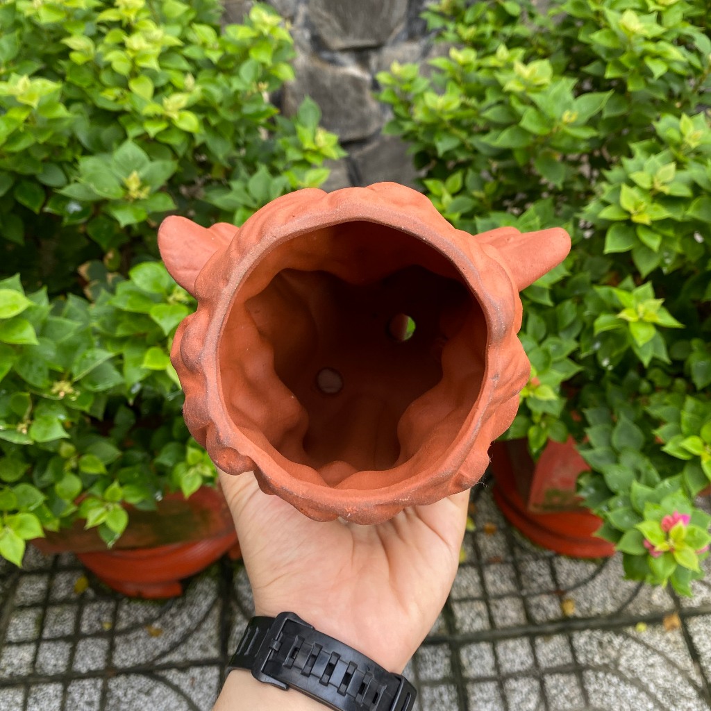 Chậu đất nung - Chậu trồng sen đá, xương rồng - Chậu thiên thần xòe cánh miệng 8cm, cao 15cm