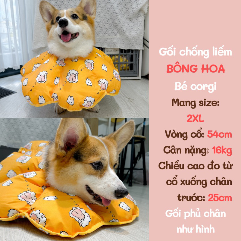 Gối Chống Liếm Cao Cấp Siêu Mềm Chống Nước Cho Chó Lớn Corgi Bull Pháp Pug Mặt Xệ Lạp Xưởng - Vòng Cổ Loa Chống Liếm