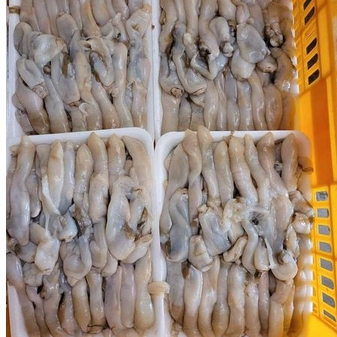 ruột ốc móng tay đã sơ chế khay 500g tiện dụng