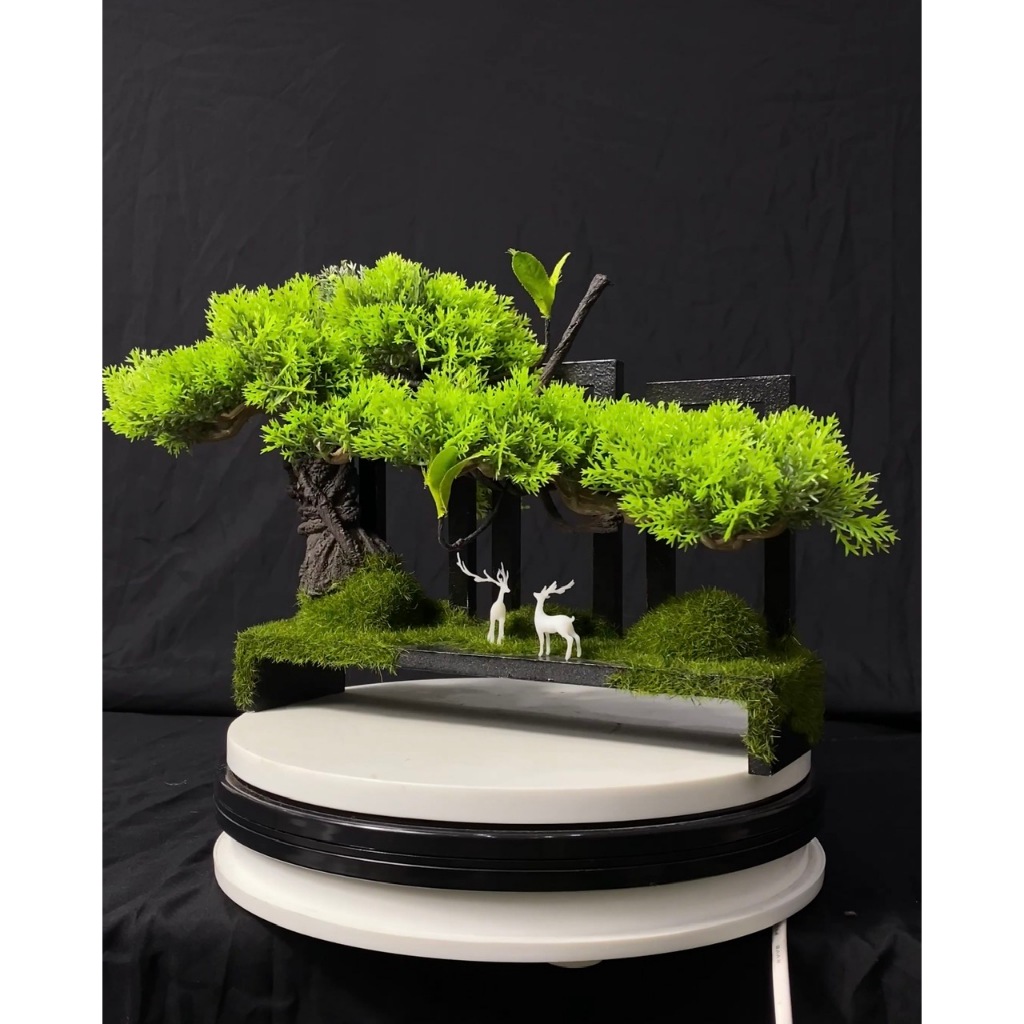 Tiểu cảnh Bonsai mini trang trí bể cá hoặc bàn trà (SKU_BSM250)