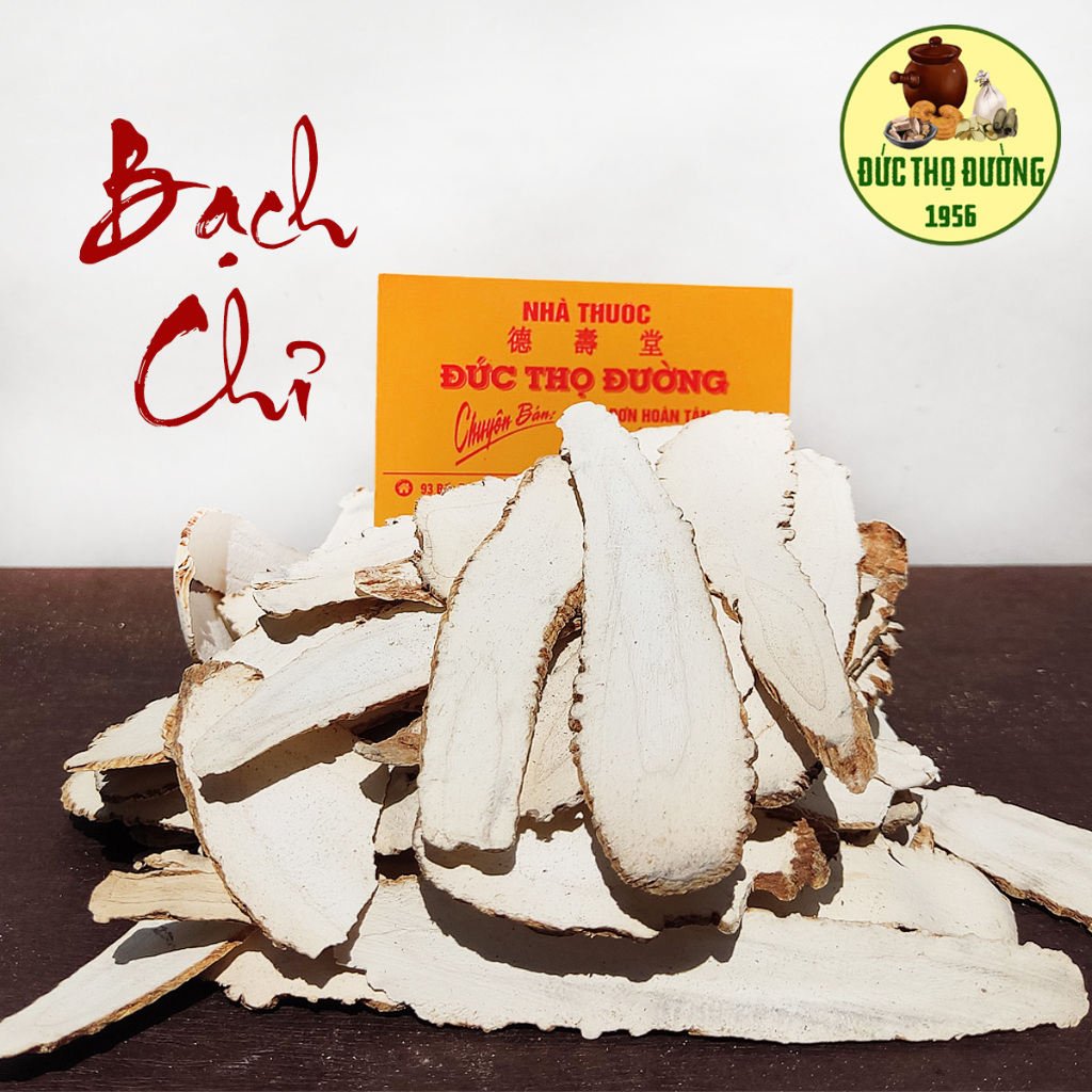 Bạch Chỉ - Túi 100g