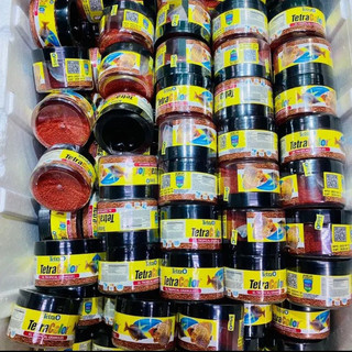 Thức ăn kích màu cá Tetra Color ( nguyên hộp 100g)