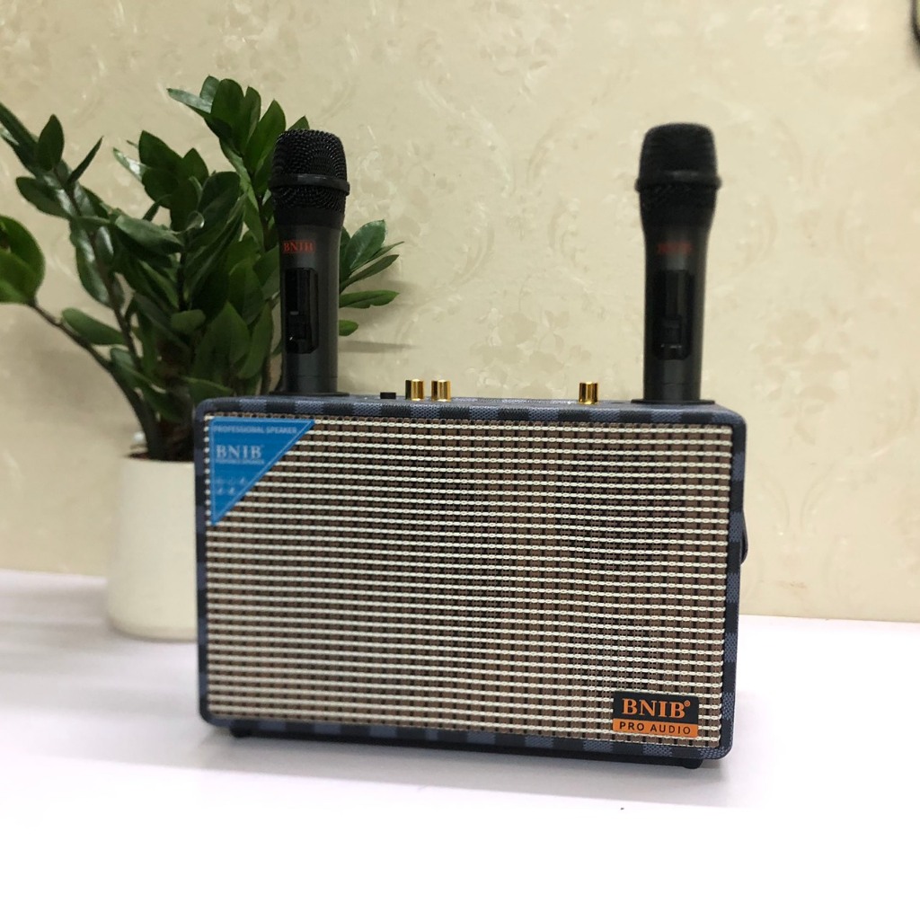 Loa karaoke xách tay mini BNIB BN-6 Kèm 2 micro không dây, vỏ bọ da, chất lượng âm thanh cao cấp - bảo hành 6 tháng