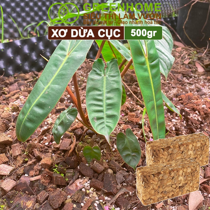 Xơ Dừa Cục Greenhome, Viên 500gr, Sơ Dừa Nén, Nở Gấp 5 Lần, Kích Thích Rễ, Thoát Nước Tốt Giá Thể Kiểng Lá, Phong Lan