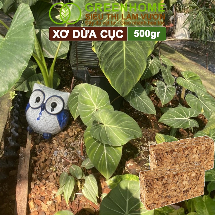 Xơ Dừa Cục Greenhome, Viên 500gr, Sơ Dừa Nén, Nở Gấp 5 Lần, Kích Thích Rễ, Thoát Nước Tốt Giá Thể Kiểng Lá, Phong Lan