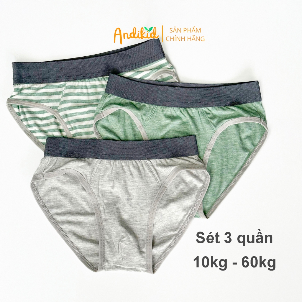 Quần lót bé trai vải modal thông thoáng co giãn thấm hút tốt, Quần sịp tam gác gee cao cấp cho bé trai thoải mái