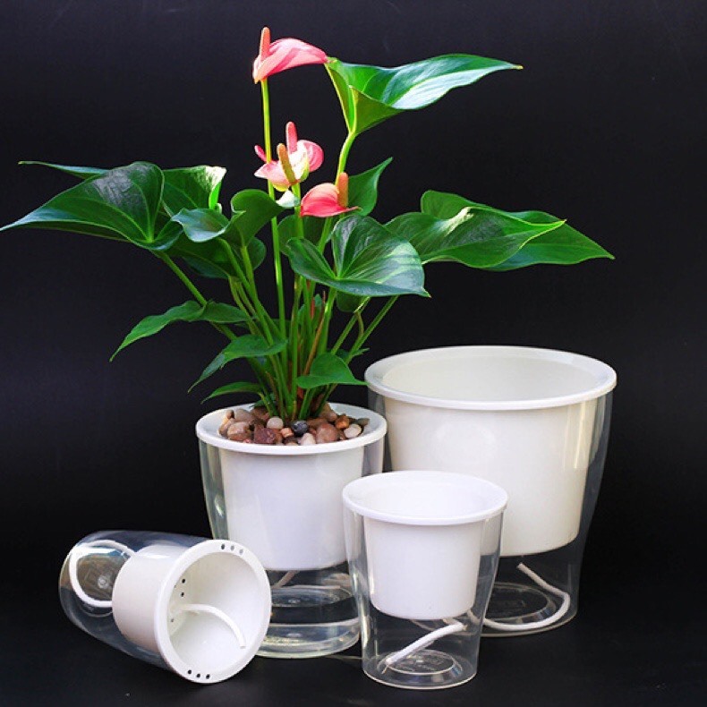 chậu trồng cây thủy canh tự dưỡng bằng nhựa chậu trồng cây thuỷ sinh - chậu trồng cây nước - trong s