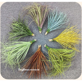 Combo 10 nhánh cỏ lau dài 40cm decor siêu xinh