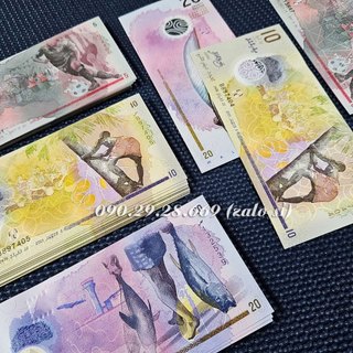 Combo 3 tờ Po-ly-me của Maldives, thích hợp sưu tập, trưng bày