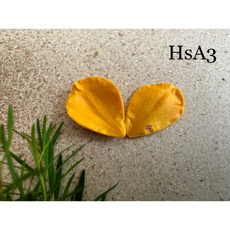 Gân Silicon Hoa Mai (Có thể dùng làm Hoa Đào)