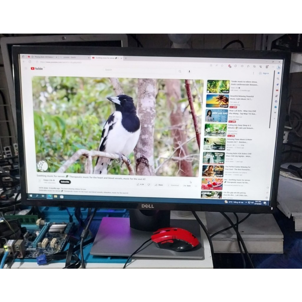 Màn dell 24in led đẹp xuất sắc