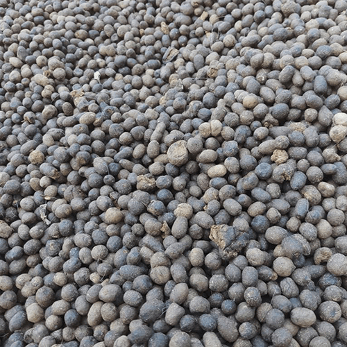 5kg Phân Dê Đã Qua Xử Lí Bón Cho Cây Lan, Phân Dê Bón Cây Cảnh , Cây Trồng Hấp Thụ Nhanh Giúp Cây Phát Triển Tốt