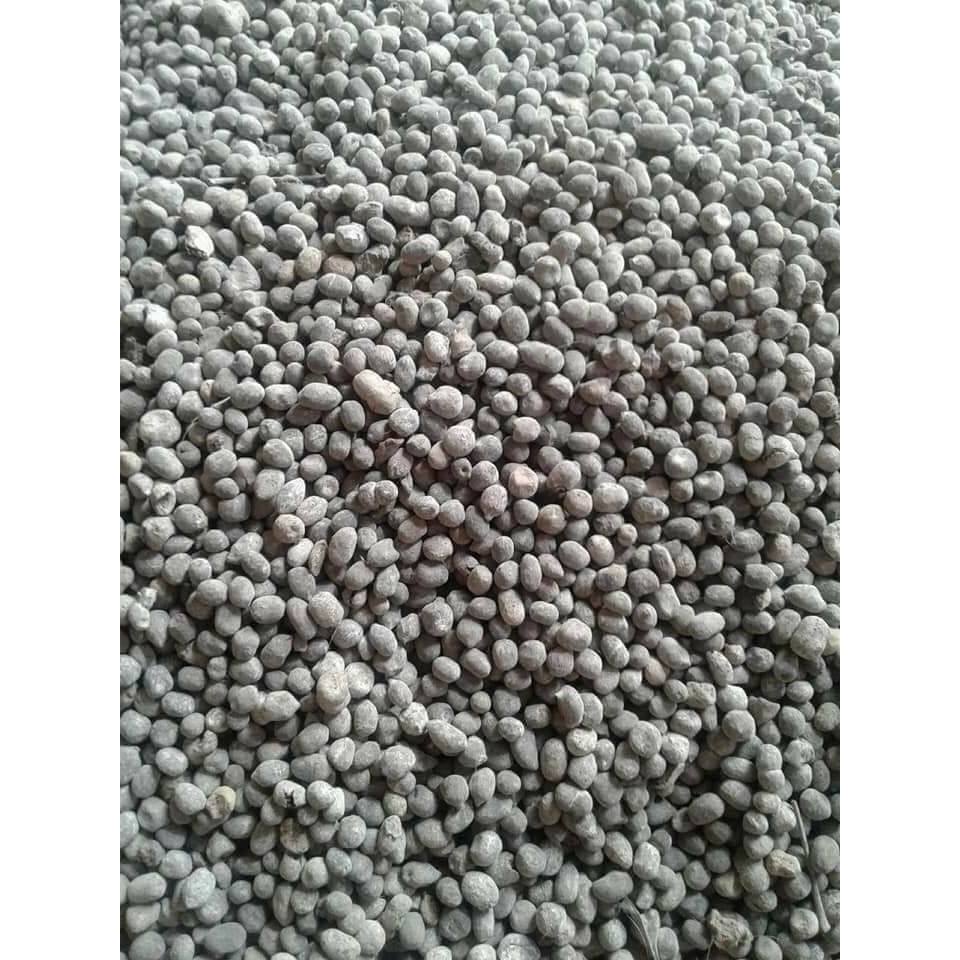 5kg Phân Dê Đã Qua Xử Lí Bón Cho Cây Lan, Phân Dê Bón Cây Cảnh , Cây Trồng Hấp Thụ Nhanh Giúp Cây Phát Triển Tốt