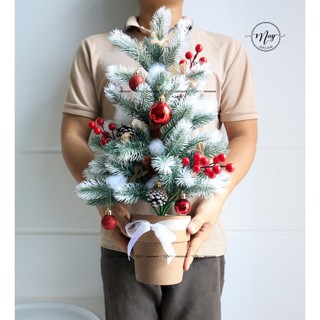 Cây giả, Cây Thông Đuôi Chồn để bàn trang trí noel 2023