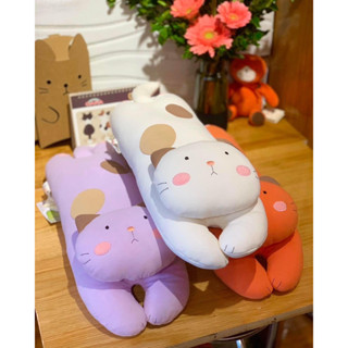 Mèo ghiền thun Cotton Hikosen Cara