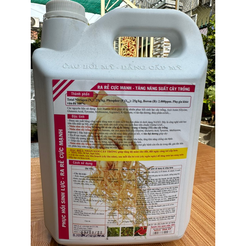 NHÂN SÂM CÂY TRỒNG