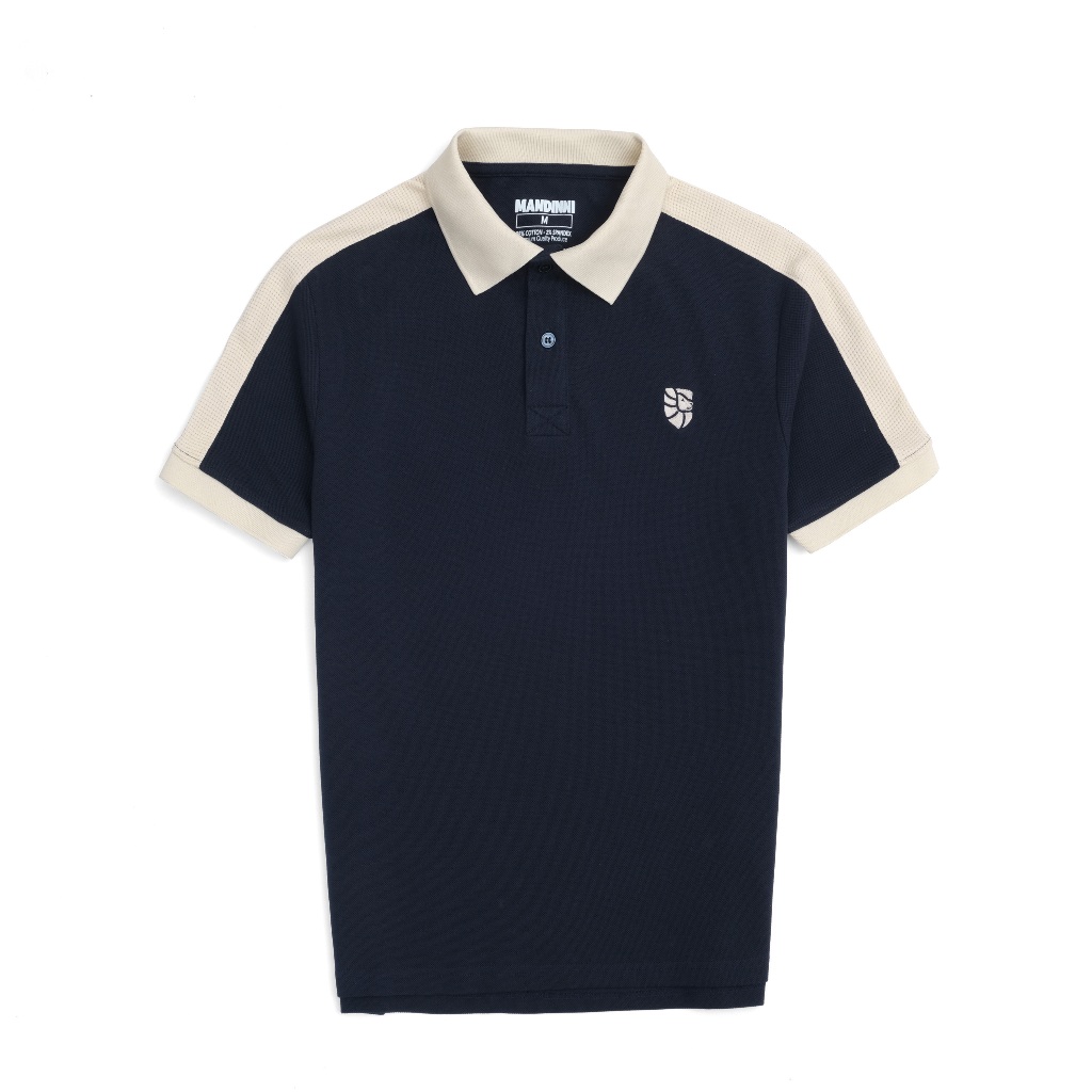 Áo thun polo nam Raplion vải cotton Pique cao cấp, chuẩn form, năng động, thanh lịch - MANDINNI
